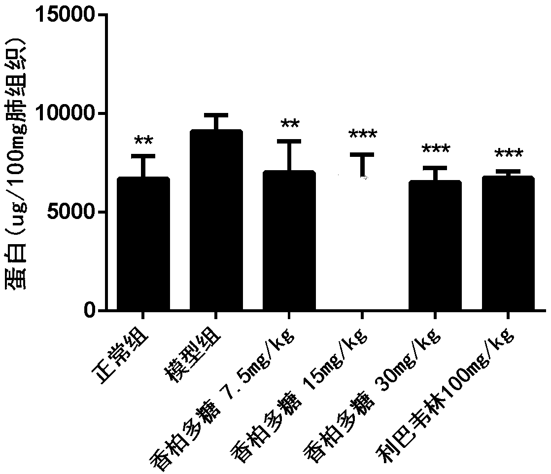 Use of sabina plant polysaccharides in preparation of medicines for preventing and treating viral acute lung injury