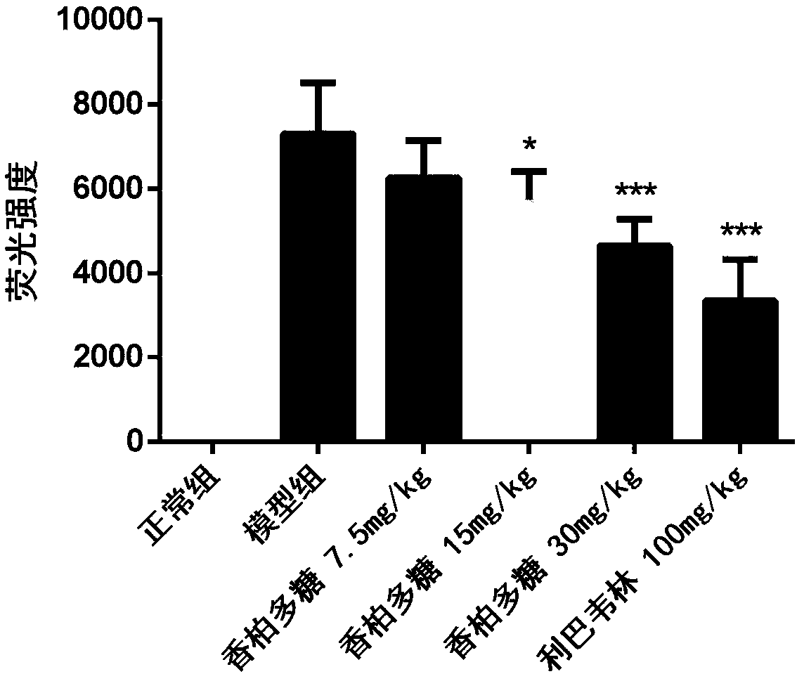 Use of sabina plant polysaccharides in preparation of medicines for preventing and treating viral acute lung injury