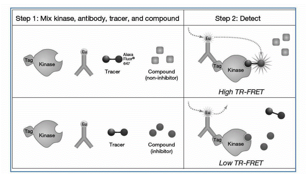 Compounds with MEK inhibitory function and their preparation methods and applications