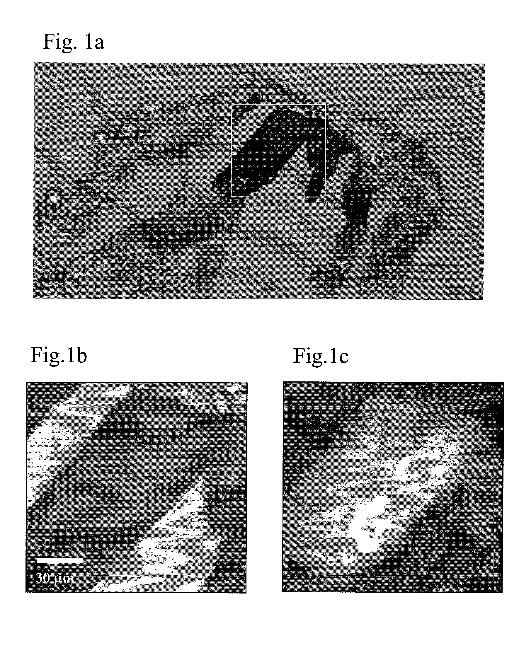 Method for Raman chemical imaging of endogenous chemicals to reveal tissue lesion boundaries in tissue