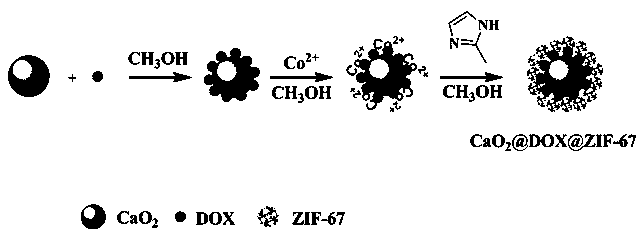 CaO2@DOX@ZIF-67 nanometer material and preparation method and application thereof