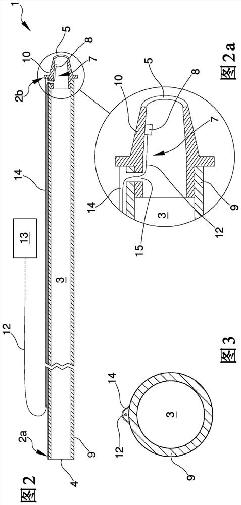 Cannula for the drainage of blood vessels