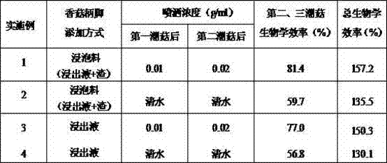 Pleurotus eryngii cultivation method