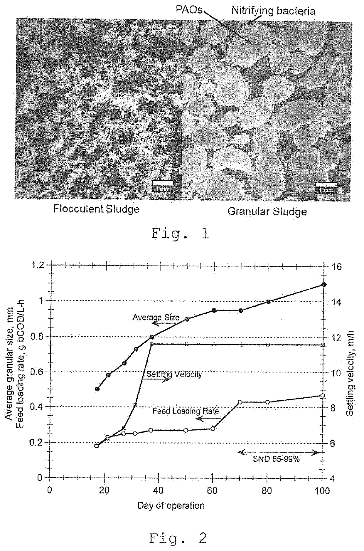 Biomass selection and control for continuous flow granular/flocculent activated sludge processes