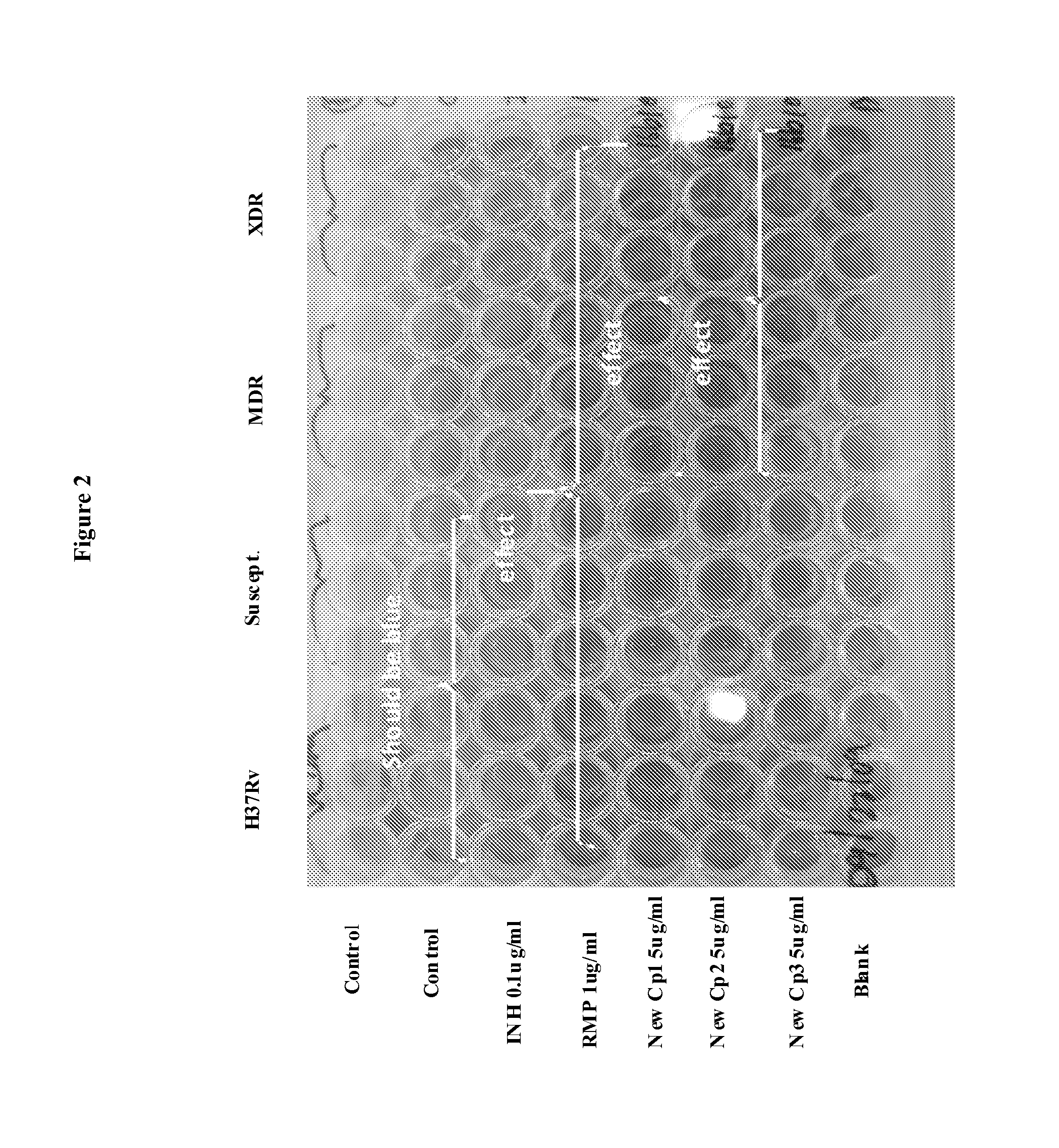 Compositions and methods for treating tuberculosis