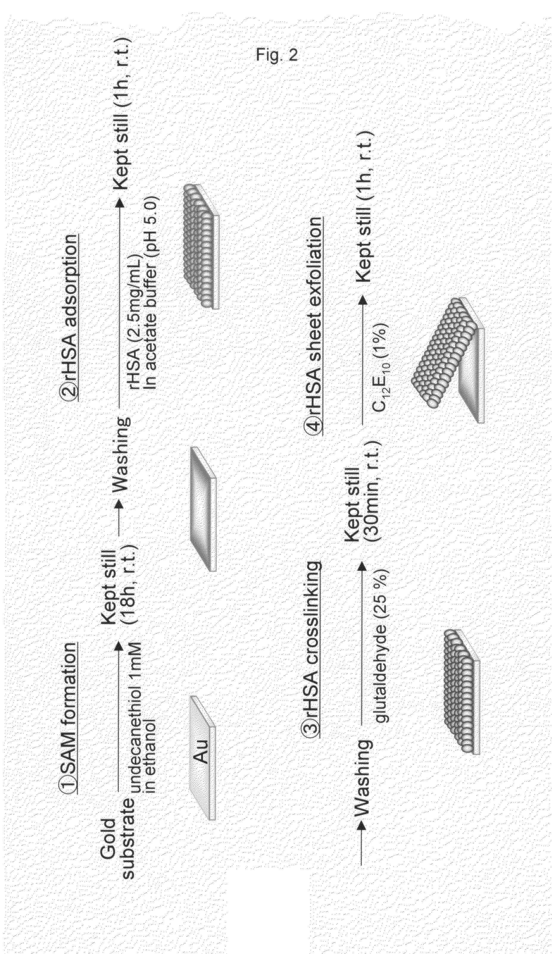 Thin-Filmy Polymeric Structure and Method of Preparing the Same
