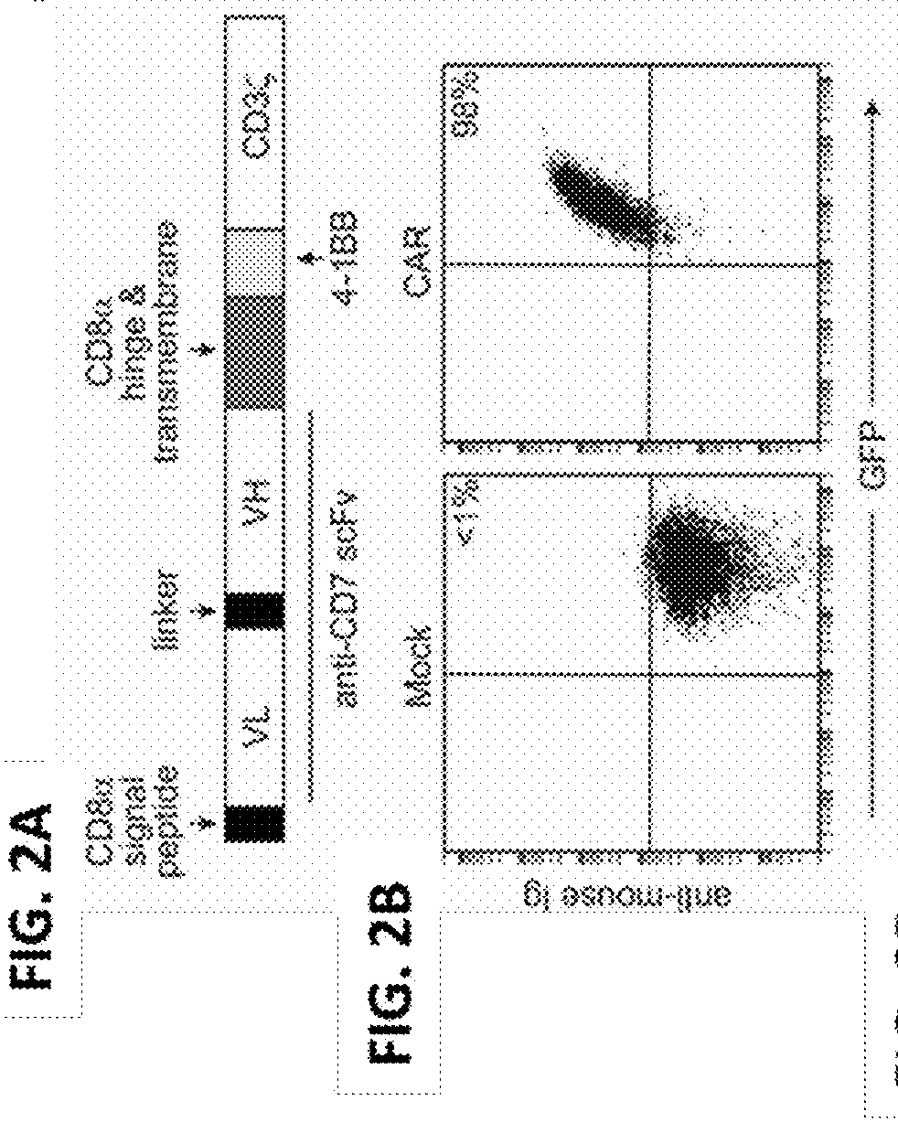 Blockade of cd7 expression and chimeric antigen receptors for immunotherapy of t-cell malignancies