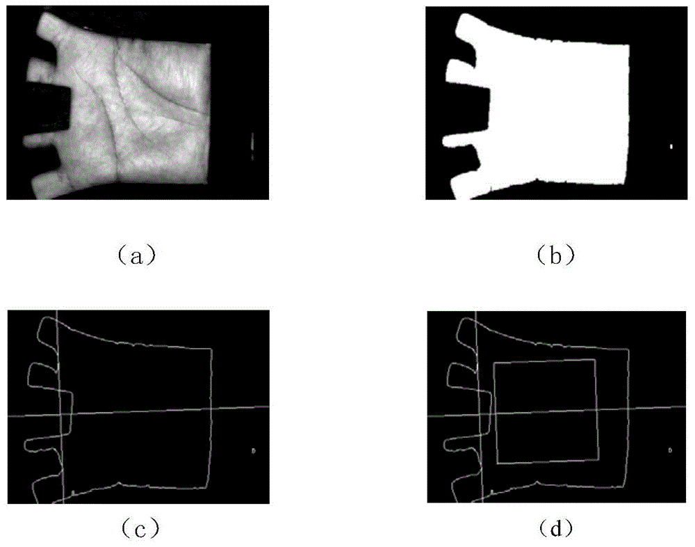 A Palmprint Recognition Method Based on Cross Gradient Coding with Stable Feature Image