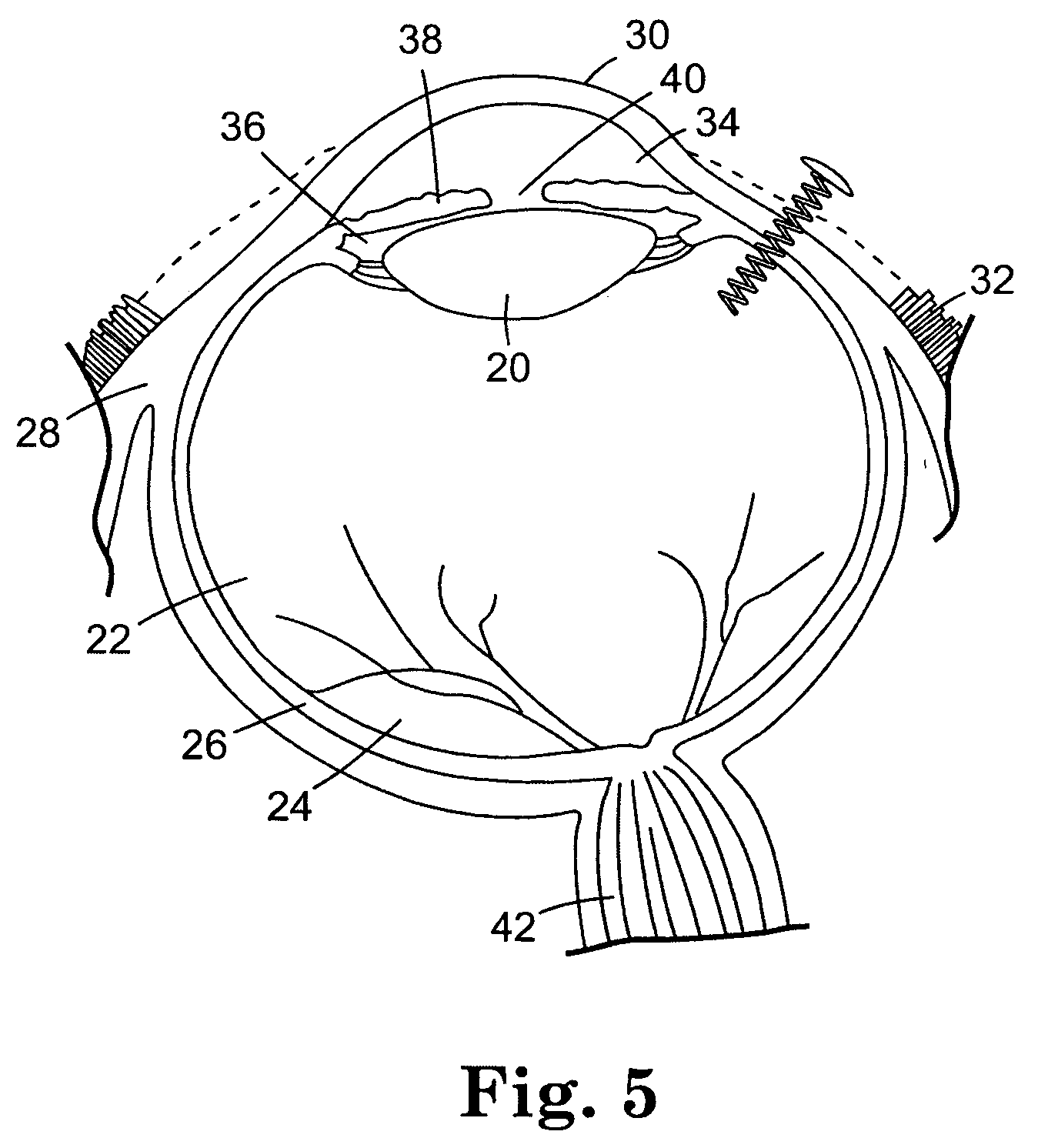 Biodegradable controlled release bioactive agent delivery device