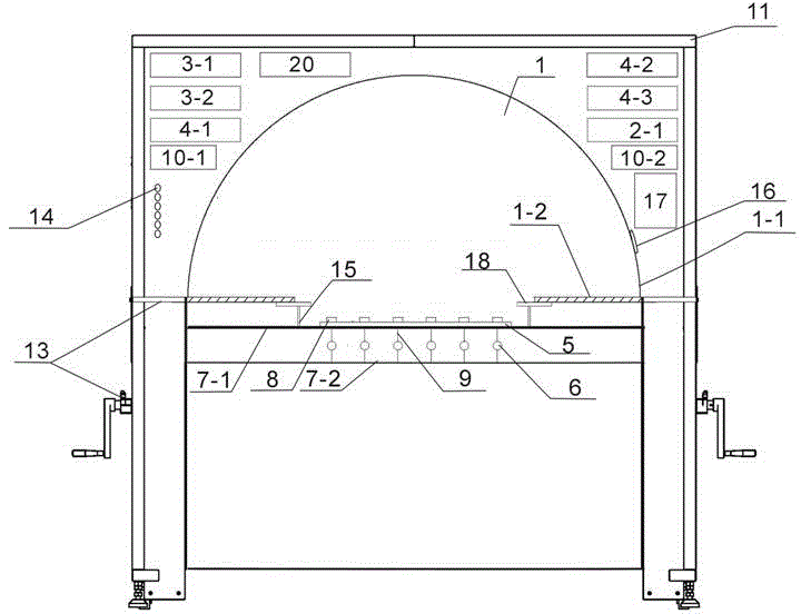 A light source online detection device