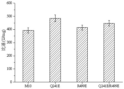 Method for improving acid stability of glucose oxidase and mutant q241e/r499e, gene and application