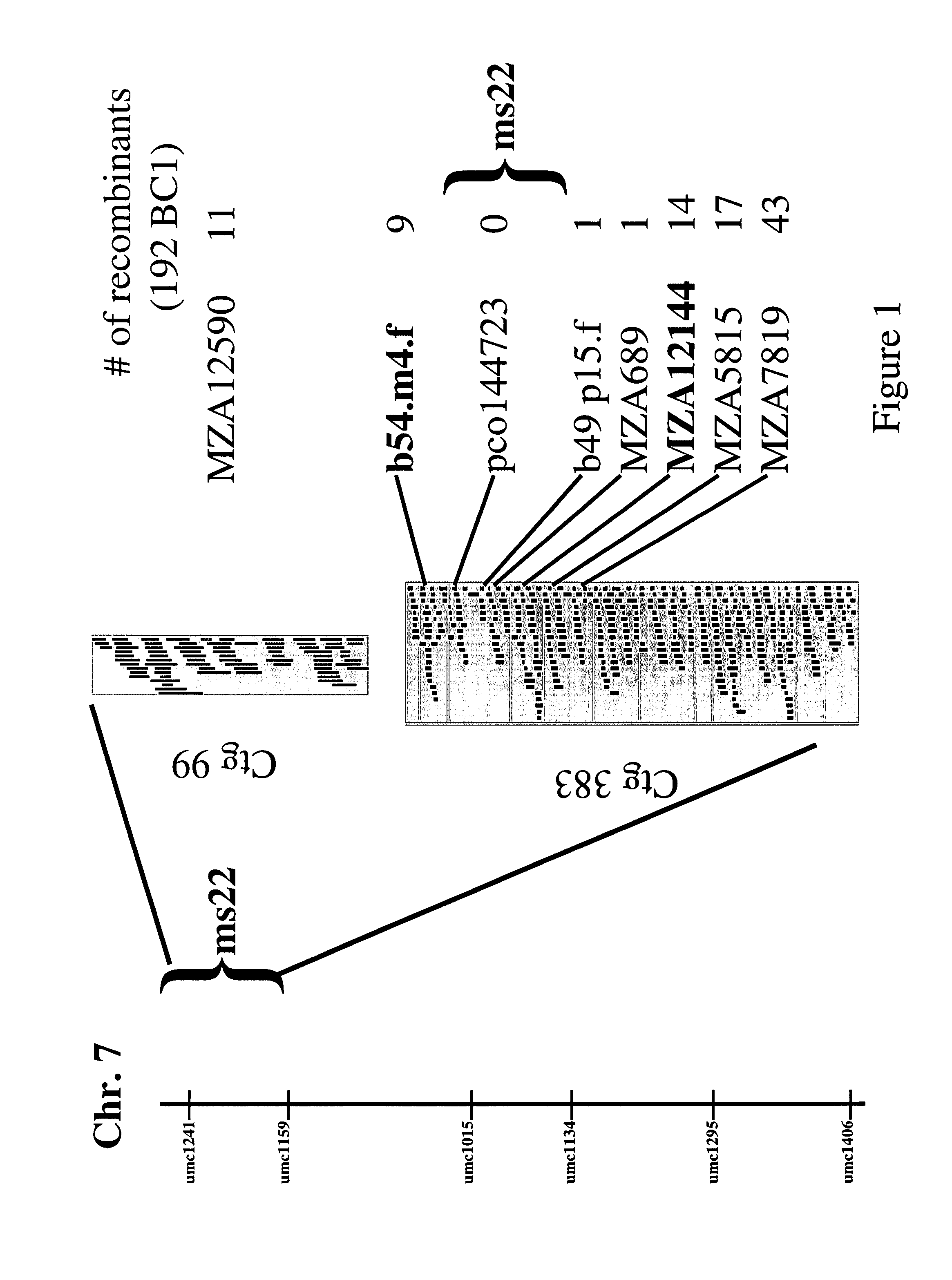 Msca1 nucleotide sequences impacting plant male fertility and method of using same