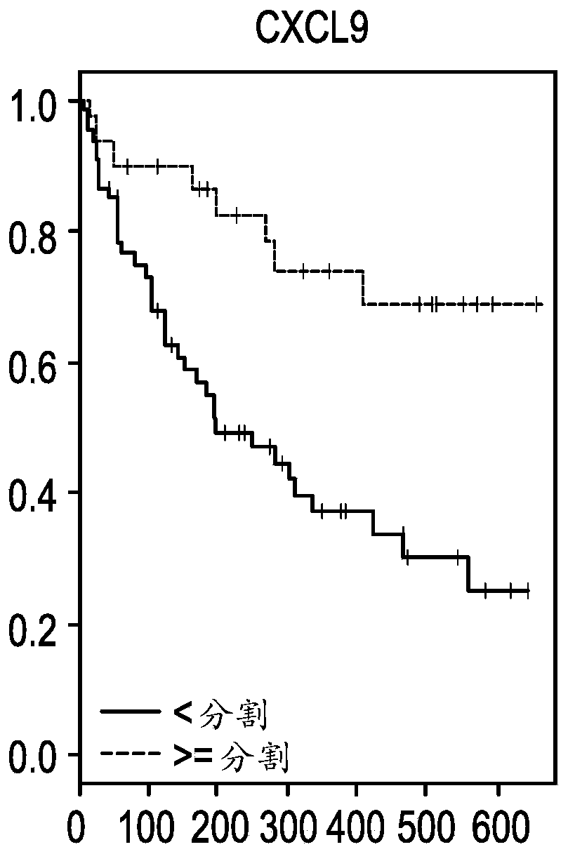 Compositions and methods for characterizing solid tumors responsiveness to Anti-pd-l1 antibody monotherapy