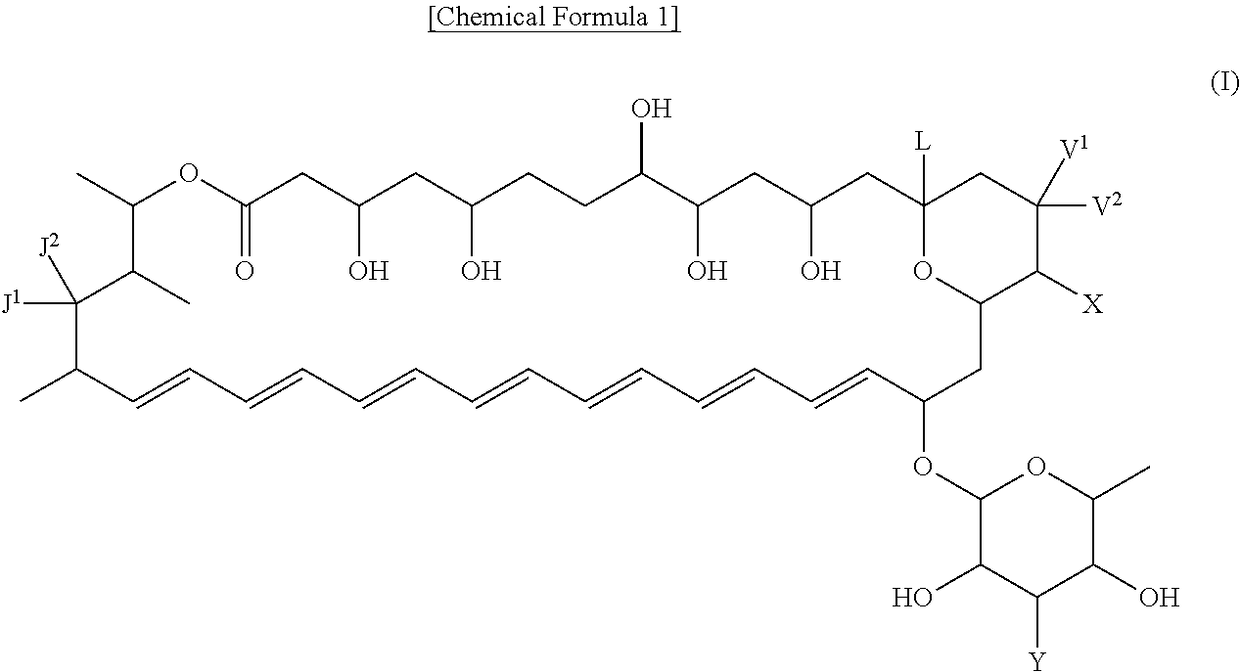 Polyene macrolide derivative