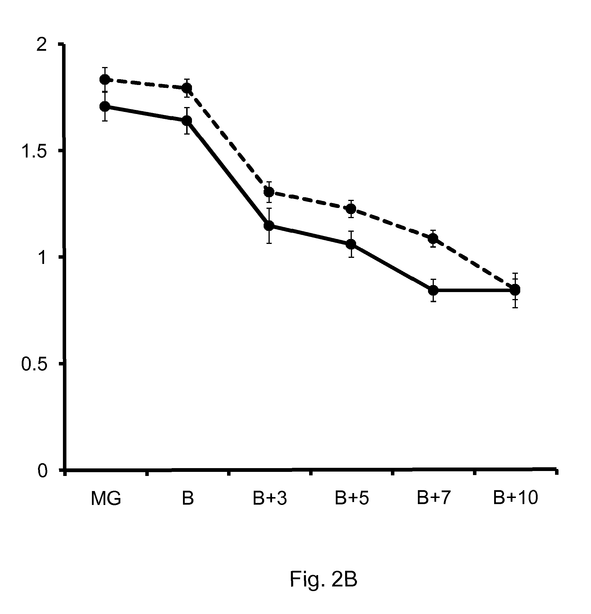 Tomato fruit having increased firmness