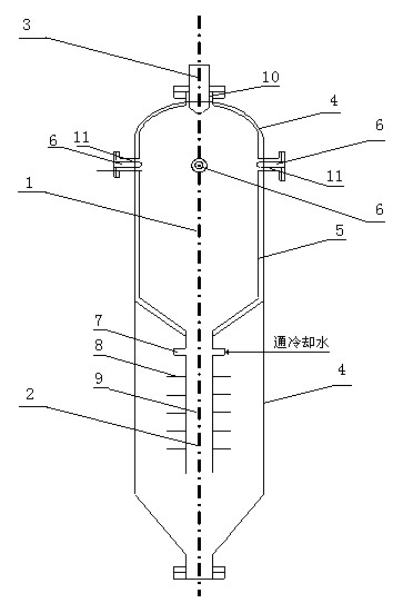 Entrained flow gasifier used for co-gasification of various forms of raw materials