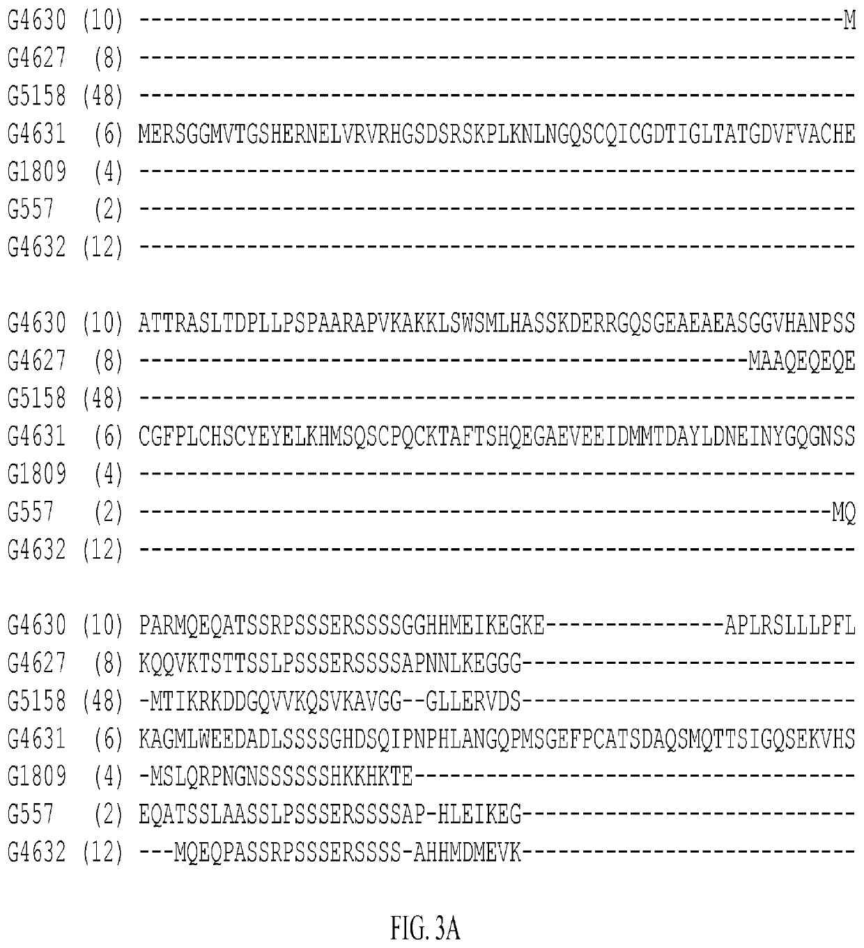 Enhancement of plant yield vigor and stress tolerance