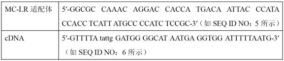 CRISPR/Cas-driven DNA hydrogel colorimetric sensor as well as preparation method and application thereof