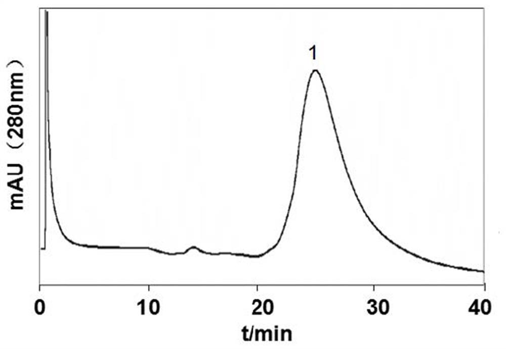 A high-efficiency hydrophobic interaction chromatography medium with benzylamine as a ligand, its preparation method and its application in protein refolding and purification