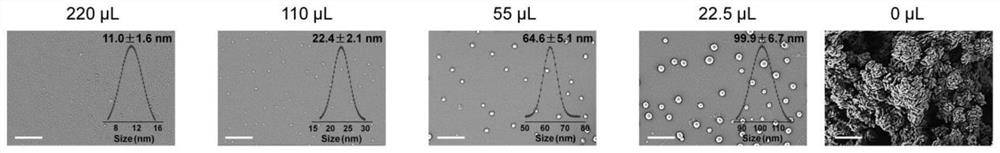 Covalent organic framework (COF) nanoparticles and preparation method thereof