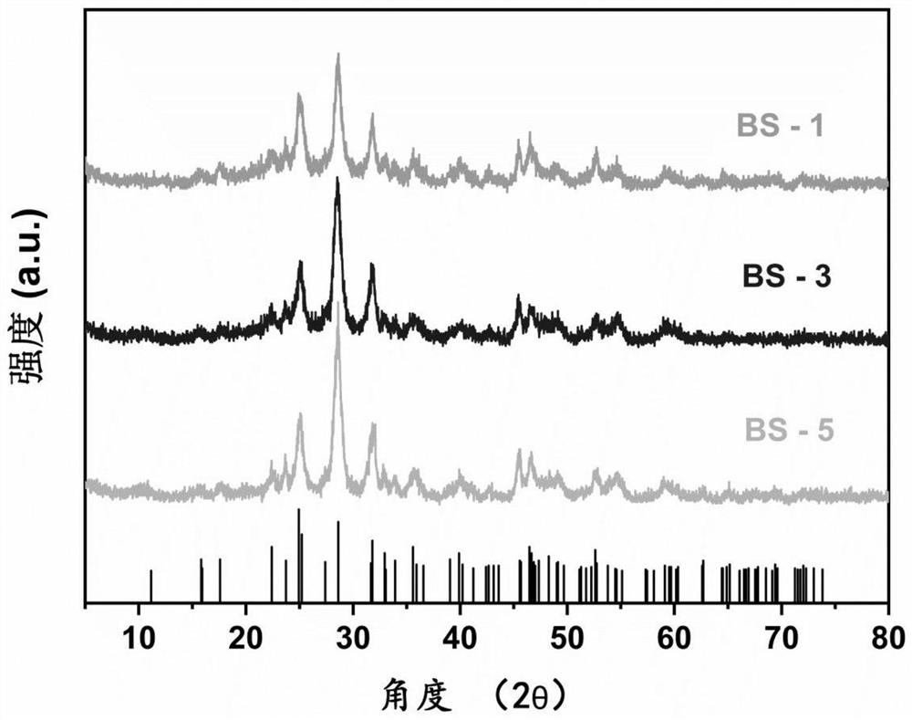 Application of bismuth sulfide catalyst with sulfur vacancies