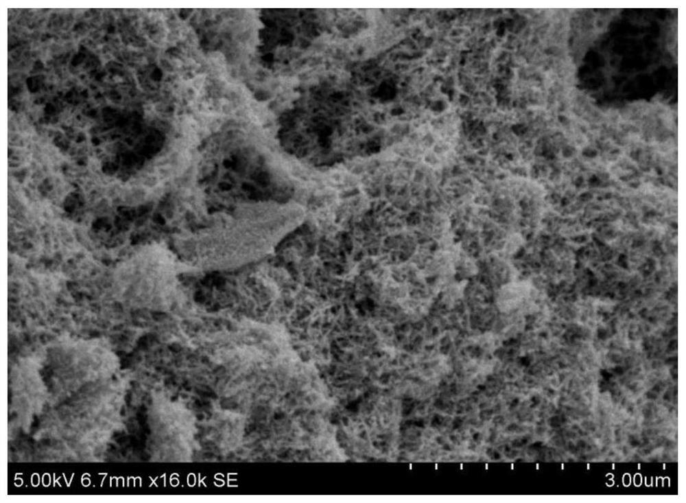 Application of bismuth sulfide catalyst with sulfur vacancies