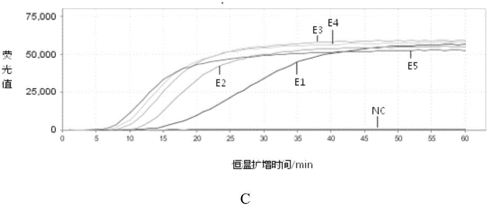 Kit for detecting enterovirus and application of kit