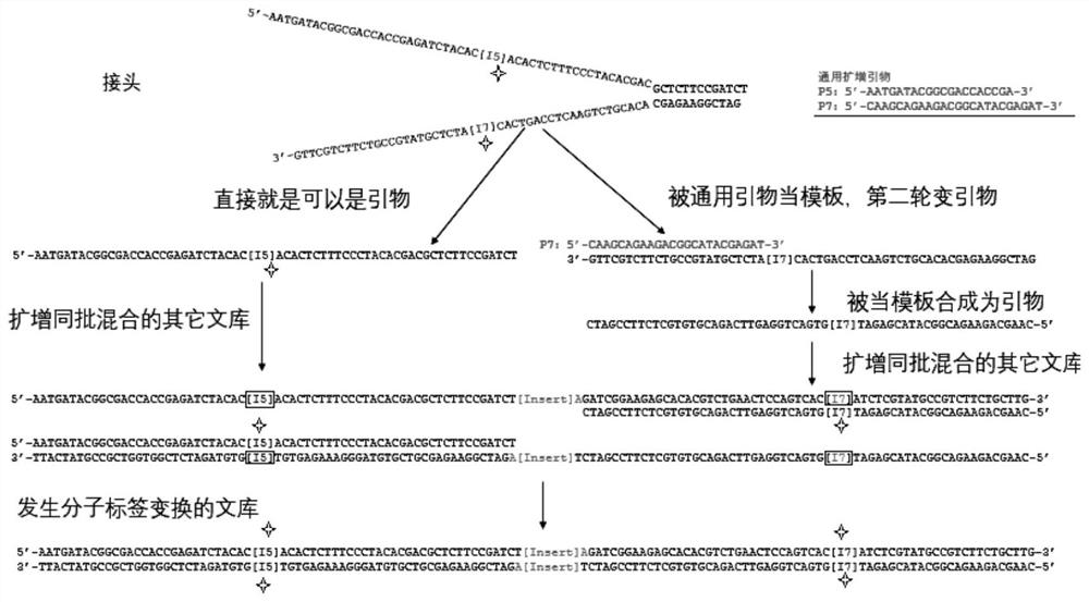 Closed sequence, capture kit, library hybridization capture method and library building method