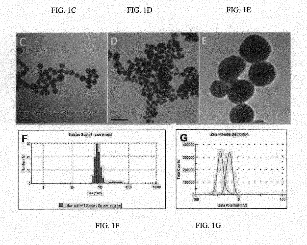 Nanoparticle composition for use in targeting cancer stem cells and method for treatment of cancer