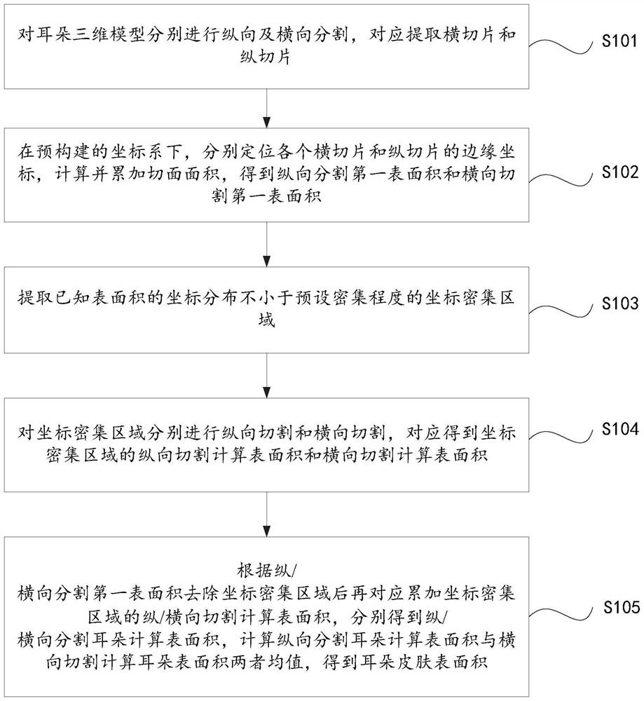 Ear skin surface area calculation method and system based on ear three-dimensional model