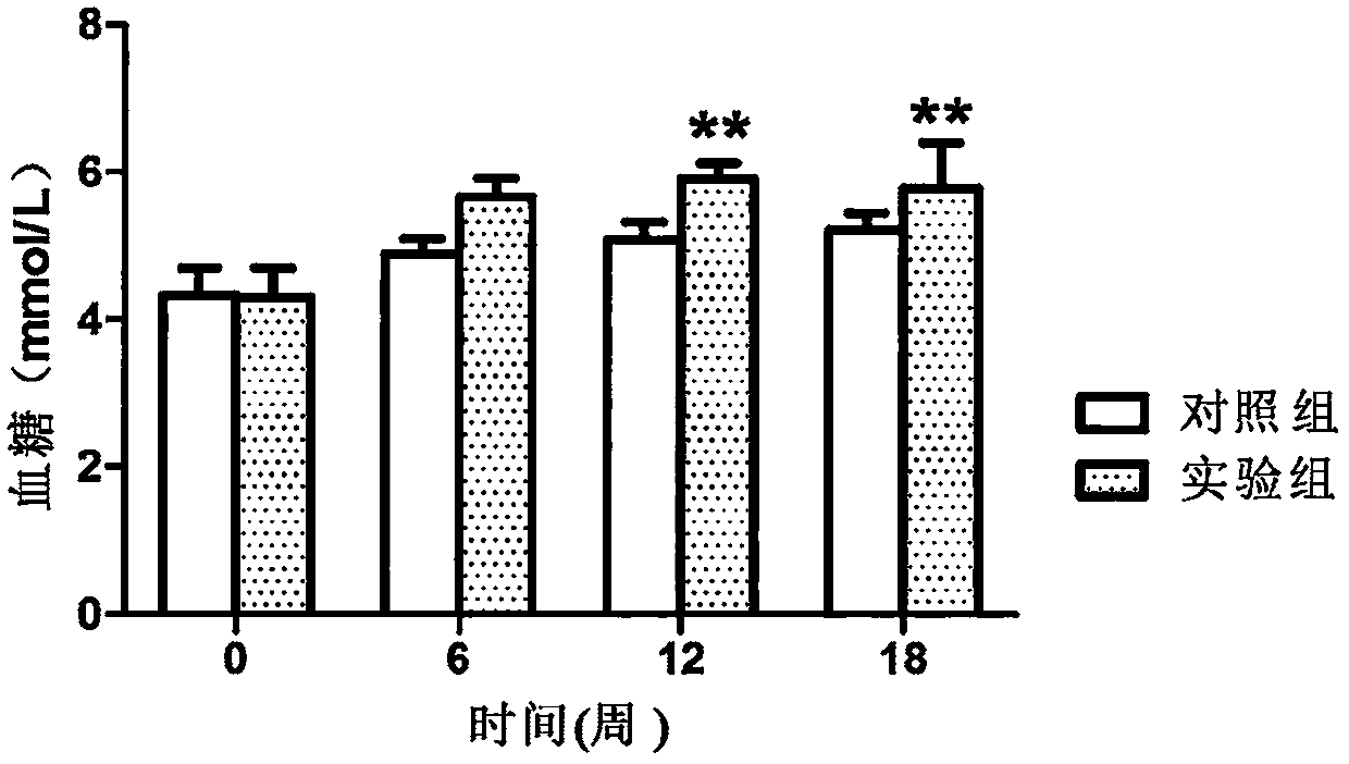 Preparation method of rat metabolic syndrome model and feed used in method