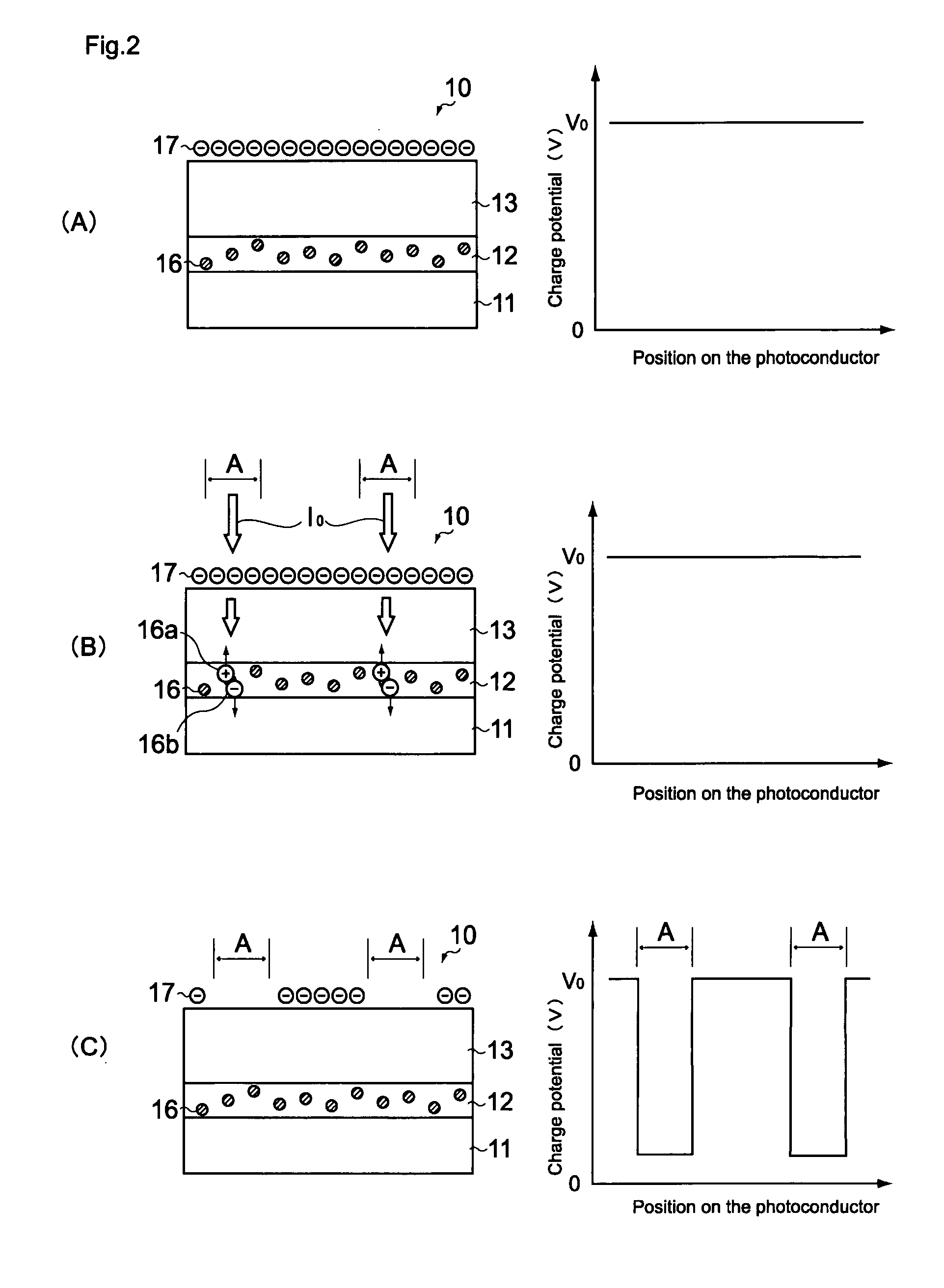 Multilayer type electrophotographic photoconductor and image forming apparatus