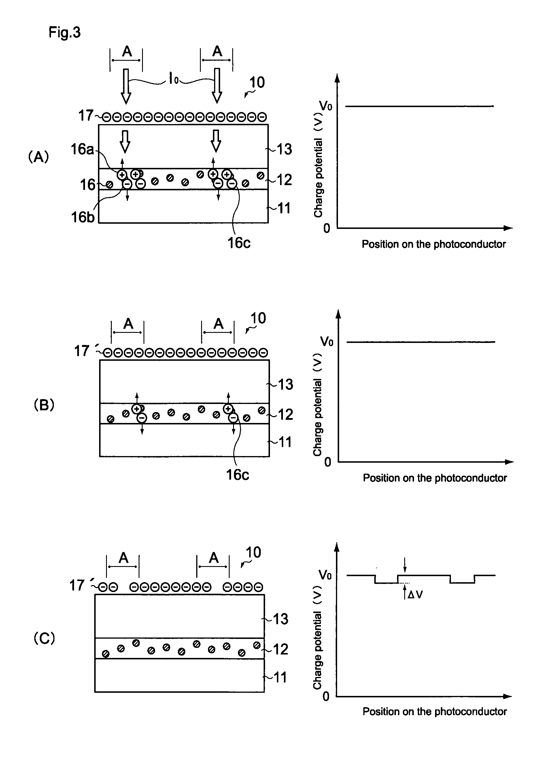 Multilayer type electrophotographic photoconductor and image forming apparatus
