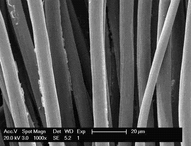 Method of preparing conductive carbon fiber/platinum nanometer material and application of conductive carbon fiber/platinum nanometer material
