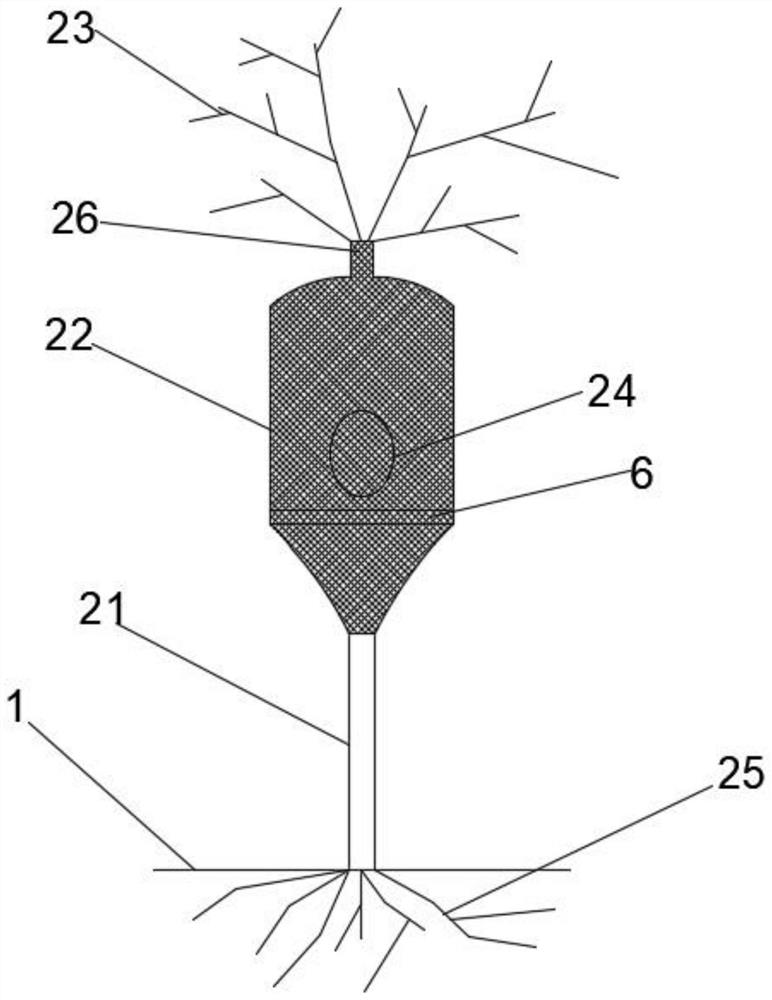 Tree house community structure and construction method