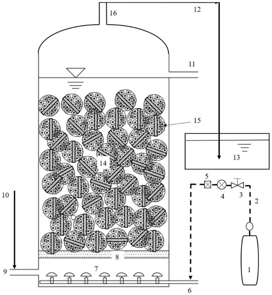 Device and method for enhancing iron autotrophic denitrification coupling carbon capture