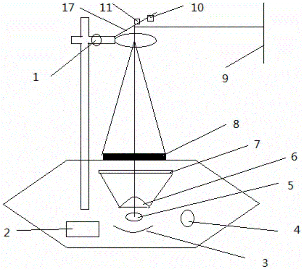 Projector additionally provided with incandescent lamp