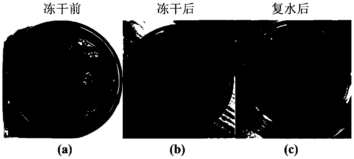 Japanese premna herb jelly and preparation method thereof