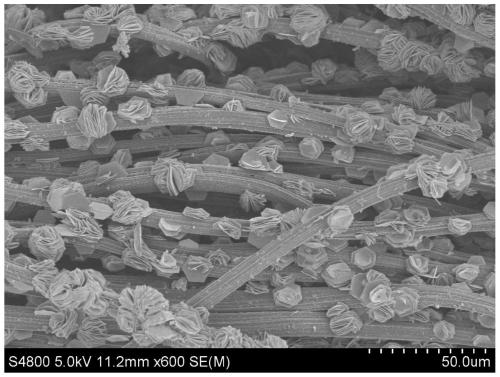 Preparation method of vanadium disulfide/pentavanadium tetrasulfide composite electrocatalyst