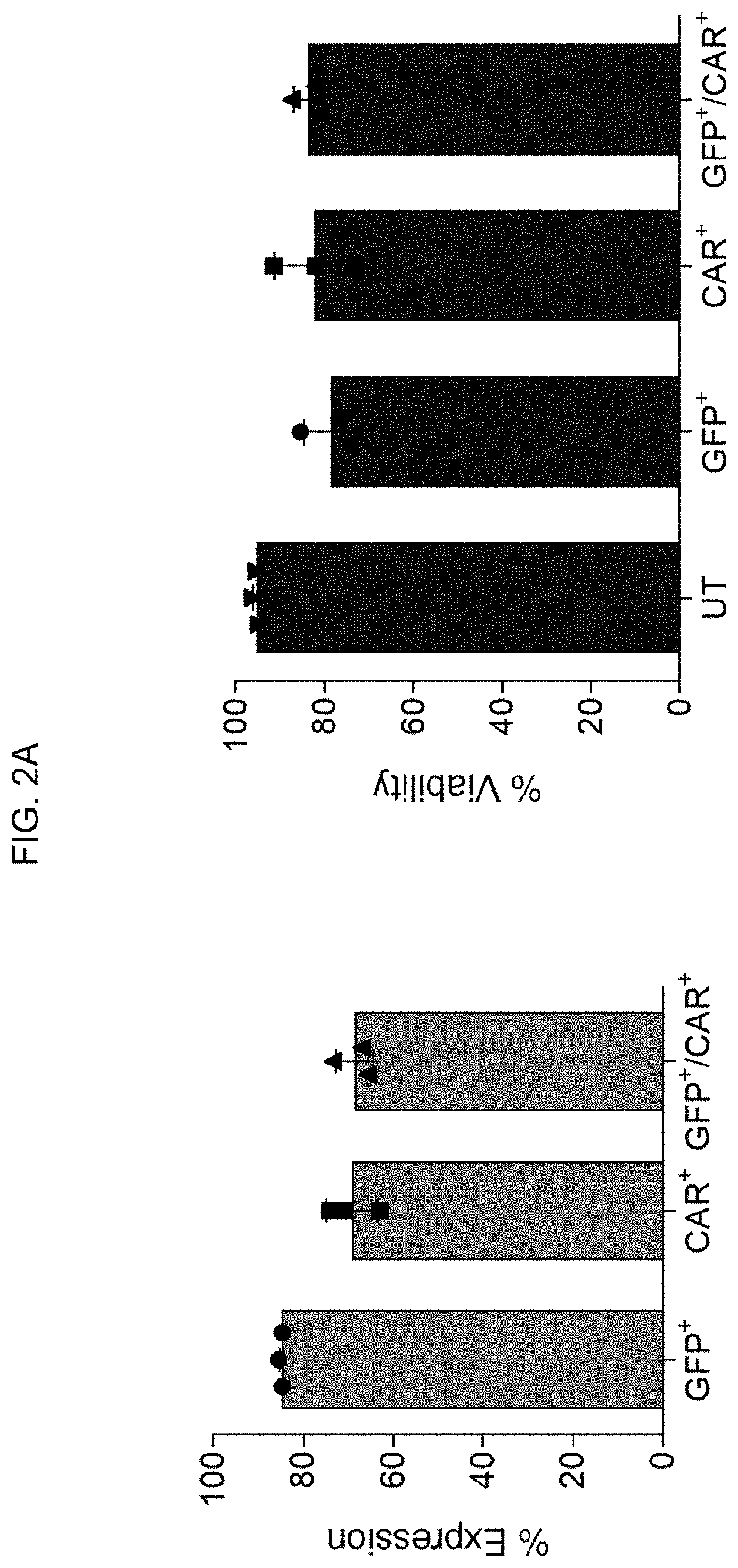 Engineering of immune cells for ex vivo cell therapy applications