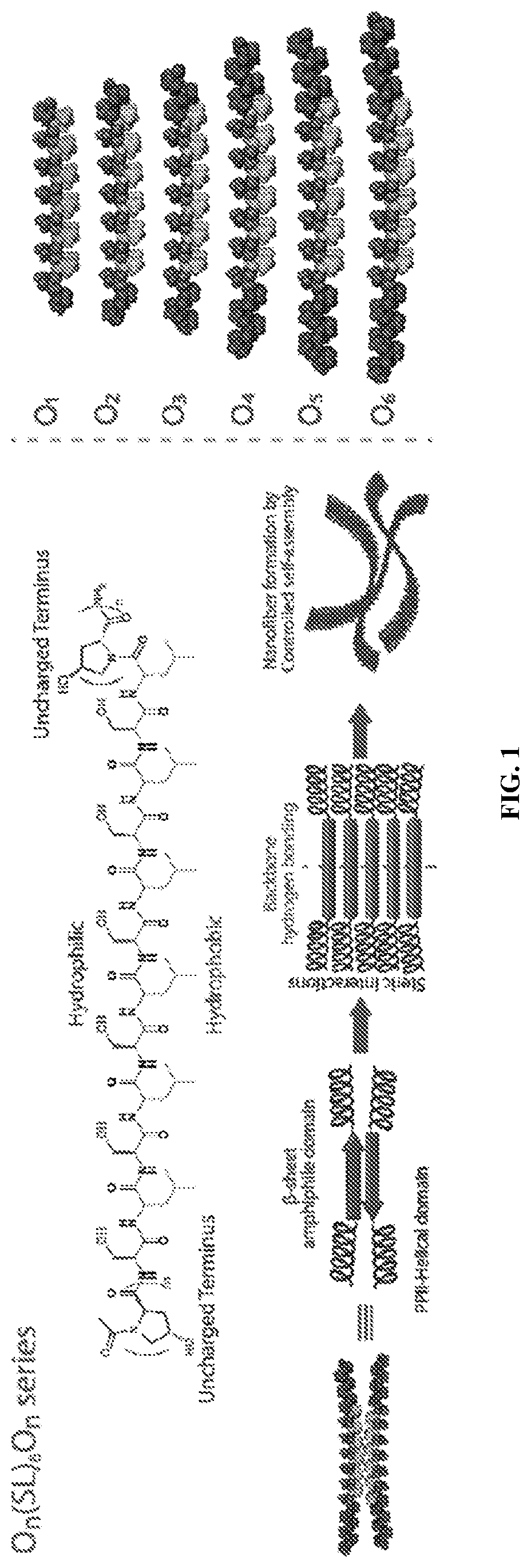 Neutral multidomain peptide hydrogels and uses thereof