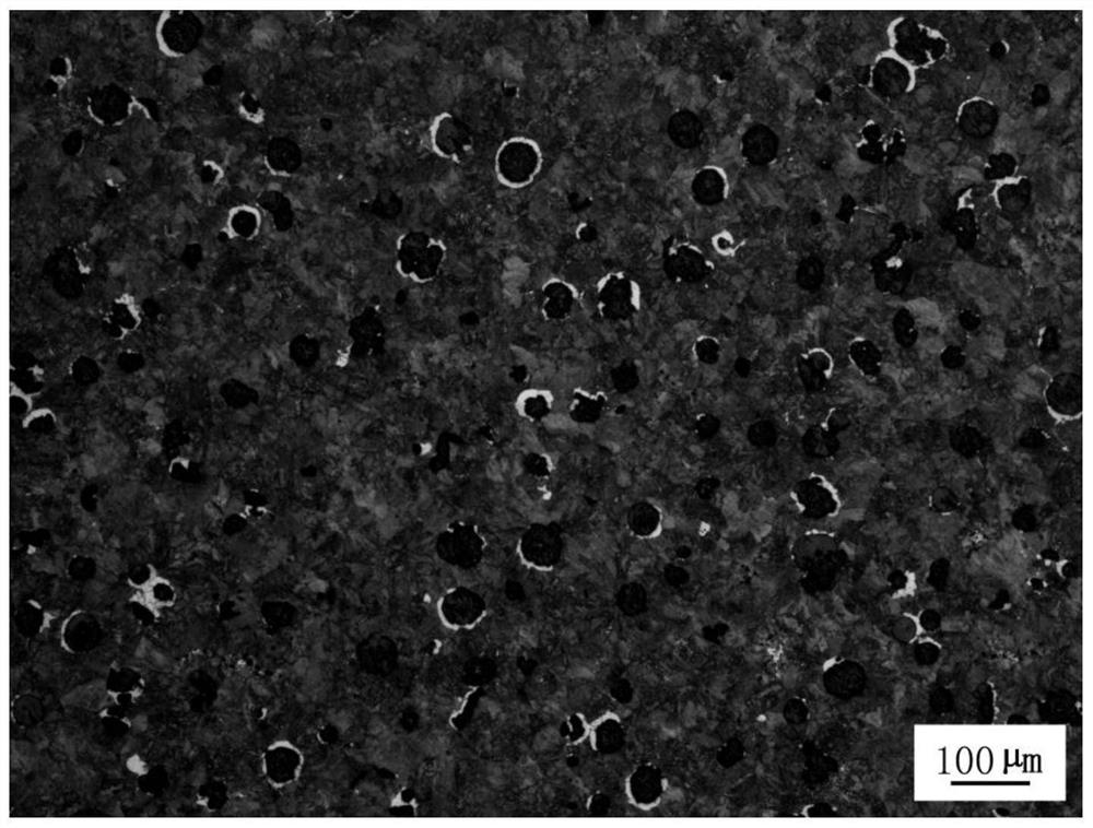 Heat treatment method of nodular iron casting and nodular iron casting obtained by heat treatment method