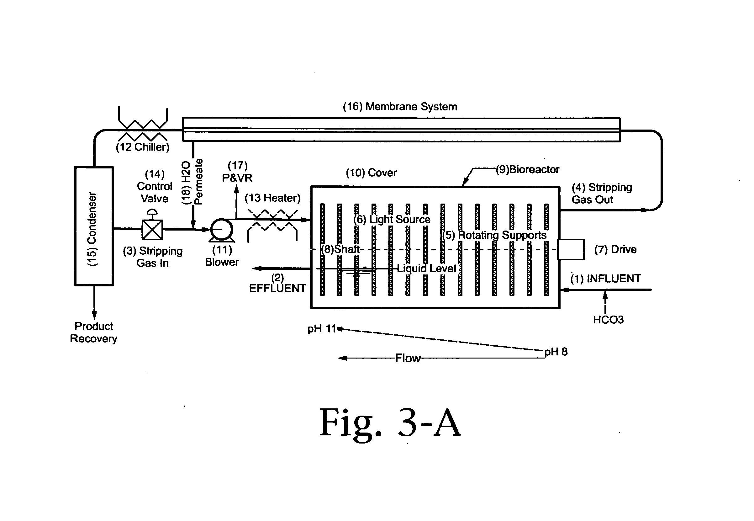 Applications of the rotating photobioreactor