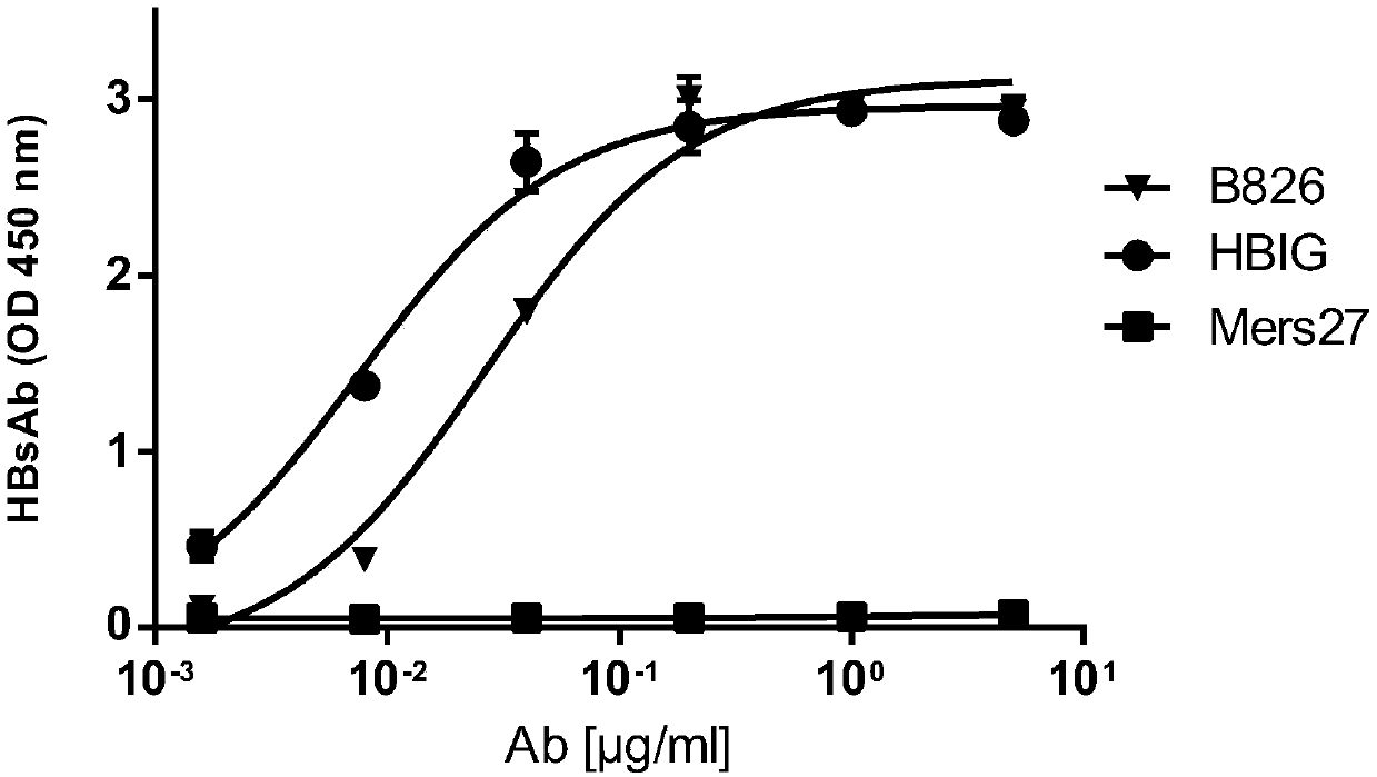 Neutralizing antibody B826 of hepatitis b virus and application of neutralizing antibody B826