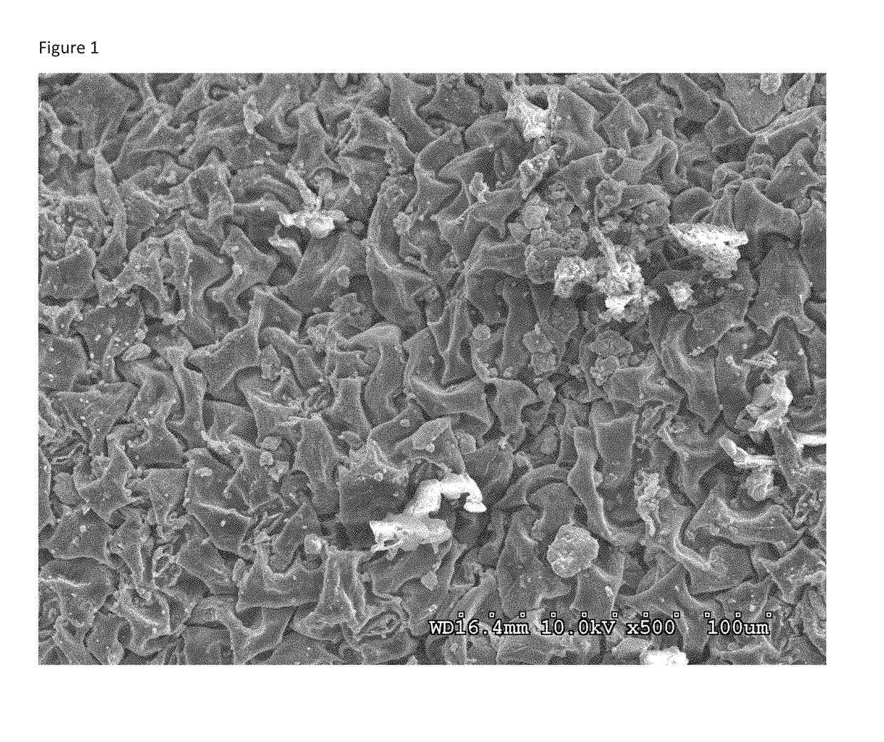 Biochar and methods of removing contaminants from water