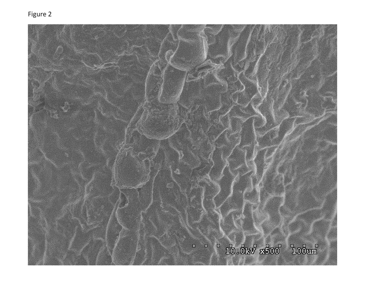 Biochar and methods of removing contaminants from water