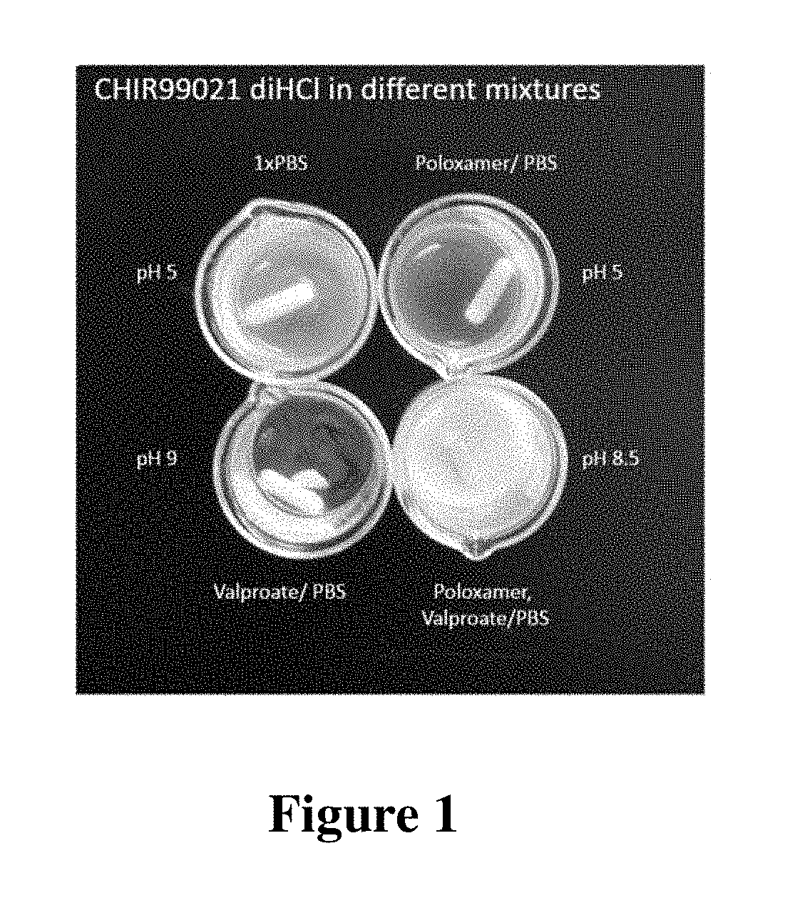 Solubilized compositions for controlled proliferation of stem cells / generating inner ear hair cells using GSK3 inhibitors: I