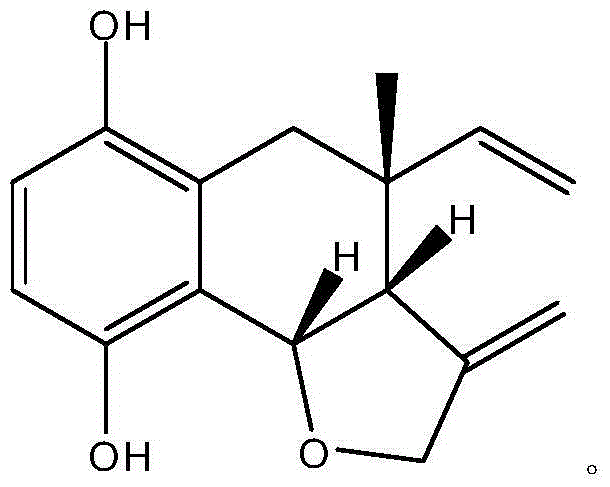 Boraginaceae phenol compound and purpose thereof in preparing anticomplement medicines