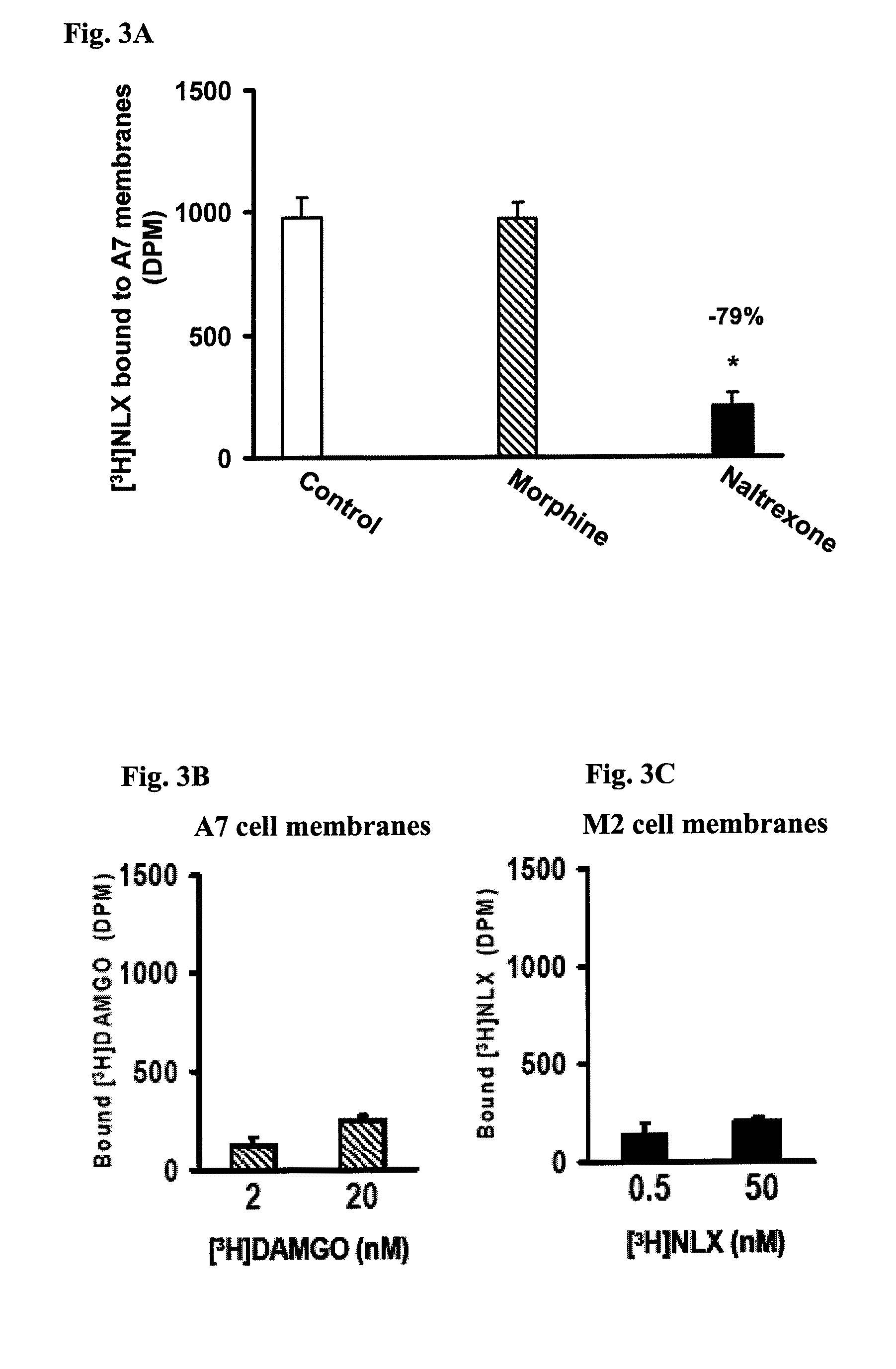 Analgesia with minimal tolerance and dependence by a mu opioid receptor agonist that also binds filamin a