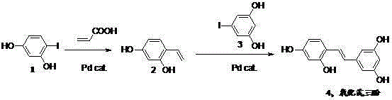 Synthetic method of oxyresveratrol